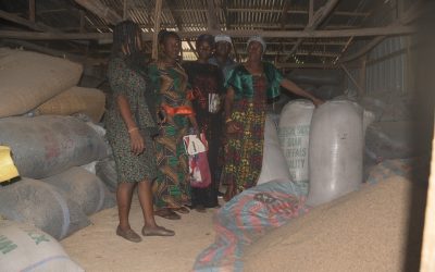 IMG-20250627-WA0012 IMG-20250627-WA0012